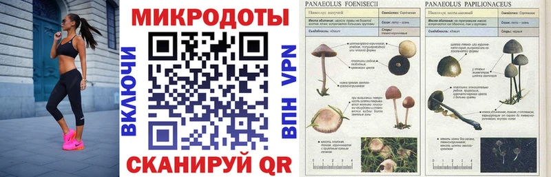 ссылка на мегу ONION  Лебедянь  Галлюциногенные грибы MAGIC MUSHROOMS 